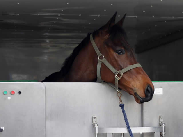 R Mike Smith Racing - Yard